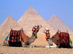 Ситуация в Египте меняет стратегию туроператоров